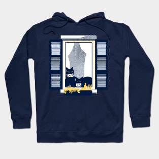 Windowsill cats - Black cat duo on a tipical italian window in a "Milano yellow" building holding le Hoodie